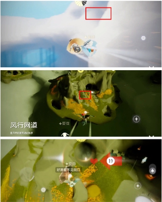 光遇雨林先祖全部位置一览 光遇雨林小金人全部位置最新